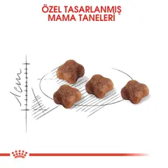 Royal Canin Mother&BabyCat Yavru Kedi Maması 2kg