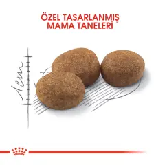 Royal Canin Sterilised 37 Kısırlaştırılmış Kedi Maması 15kg