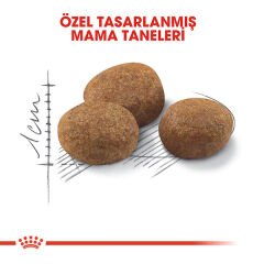 Royal Canin Sterilised 7+ Kısırlaştırılmış Yaşlı Kedi Maması 1,5kg