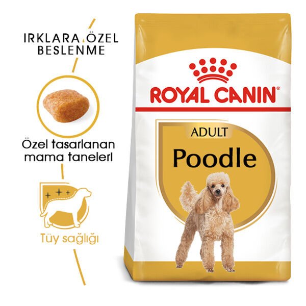 Royal Canin Poodle Yetişkin Köpek Maması 3kg