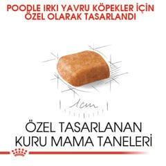 Royal Canin Puppy Poodle Caniche Yavru Köpek Maması 3kg