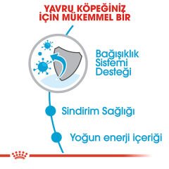 Royal Canin Mini Junior Küçük Irk Yavru Köpek Maması 2kg