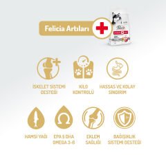 Felicia Kolajenli Kuzulu Az Tahıllı M/Large Yetişkin Köpek Maması 3KG