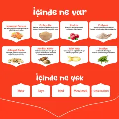 Wanpy Somonlu Tahılsız Yetişkin Kedi Maması 1,5kg