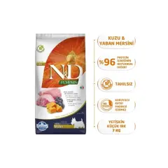 N&D Pumpkin Bal Kabaklı Kuzulu ve Yaban Mersinli Küçük Irk Tahılsız Yetişkin Köpek Maması 7kg