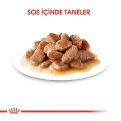 Royal Canin Intense Beauty Sos İçinde Yetişkin Kedi Konservesi 85gr
