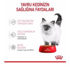Royal Canin Pouch Kitten Sos İçinde Yavru Kedi Konservesi 85gr