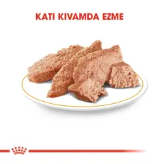 Royal Canin İran Kedisi Yetişkin Ezme Kedi Konservesi 85gr